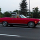 Illustration for article titled The Beautiful Cars I Saw on Detroits Woodward Avenue in Just 30 Minutes on a Tuesday
